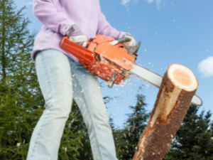Chain Saw Operations (Portable), 8 CCR 6283