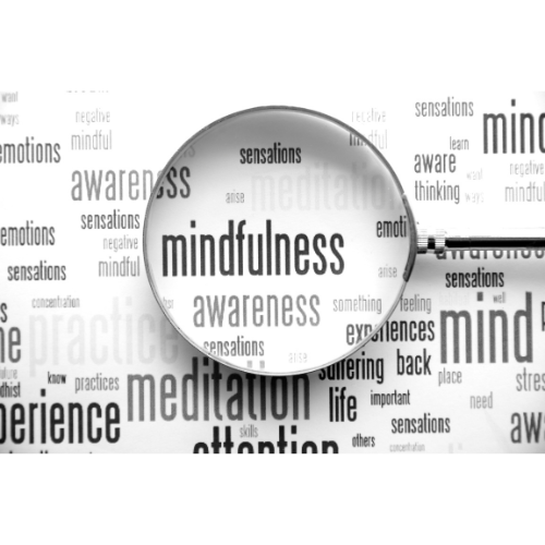 Mindfulness Course