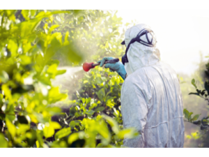 Pesticide Handler Safety, 3 CCR Division 6