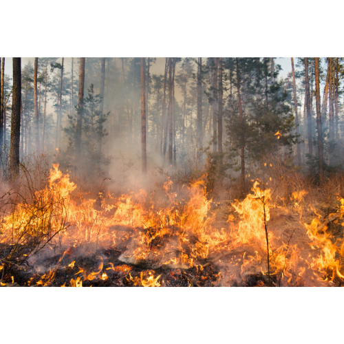 Wildfire Smoke Protection - 8 CCR 5141.1